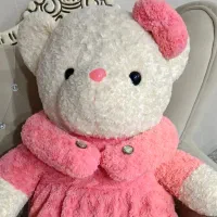 عروسک پولیشی نو و ارزان|اسباببازی بچه|دزفول, |دیوار