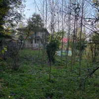 زمین-شهربیجار-کوکنه-بهترین-ویو