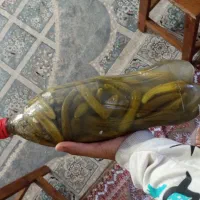عمده فروشی