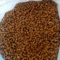 نخود قرمز