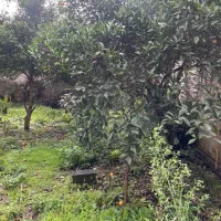 فروش-ملک-شخصی-در-مرکز-شهر-بدون-واسطه