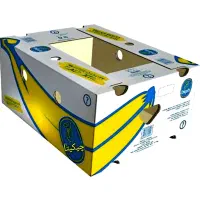 فروش کارتن موزی