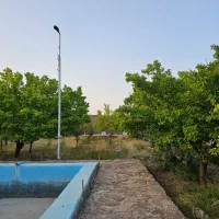 باغچه با پیش پرداخت ۵۰م سندار دسته اول از مالک|فروش زمین و ملک کلنگی|مشهد, توس فردوسی|دیوار