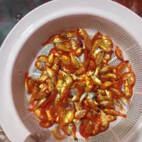 ماهی قرمز بادامی درجه یک