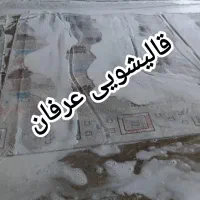 قالیشویی مجاز عرفان(۵۶۱۶۸۶۵۰)