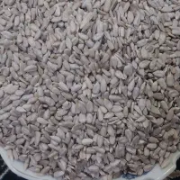 خواص چشمگیر تخمه آفتابگردان