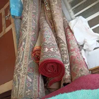 فرش|فرش|خرمشهر, |دیوار