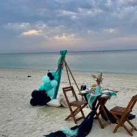 دکور ساحلی و یات