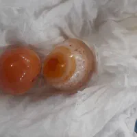مهره سلیمانی