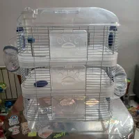 قفس جوندگان|موش و خرگوش|تهران, سازمان برنامه جنوبی|دیوار