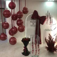 تم تولد بادکنک ارایی اجاره لوازم تولد دیجی