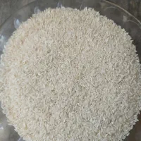 برنج سوسن امسال
