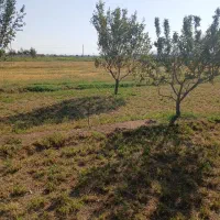 زمین ویلایی