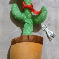 کاکتوس سخنگو