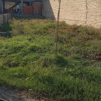 حیاط|فروش زمین و ملک کلنگی|گنبد کاووس, |دیوار