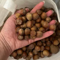 فندق الموت مناسب کبد چرب