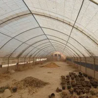 سازه گلخانه ۵۰۰ متری