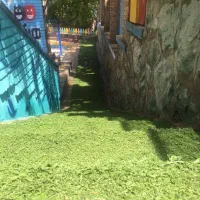 استخدام نیروی کار در مهد کودک محدوده سعادت اباد