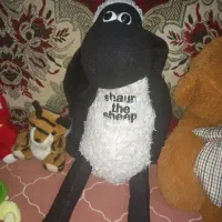 ۴۰ عدد عروسک بزرگ و کوچک همه نونو