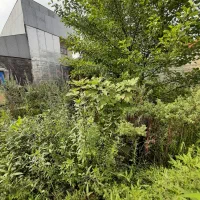 فروش زمین مسکونی روستایی رشت پیرکلاچای ۱۲۱ متر