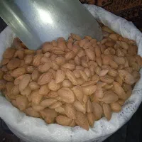 عسل شیره|خوردنی و آشامیدنی|کرج, عظیمیه|دیوار