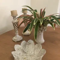 تزئینی و دکوری