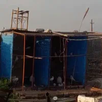 گنجه کبوتر قفس کبوتر ۹متری کیلویی ۳۵