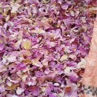 پر گل محمدی|خوردنی و آشامیدنی|شیراز, طلاب|دیوار