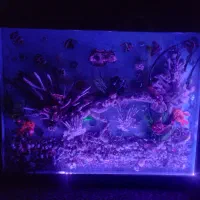 تابلو|صنایع دستی و سایر لوازم تزئینی|اراک, |دیوار