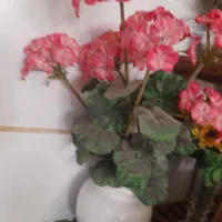 گل مصنوعی|گل مصنوعی|اراک, |دیوار