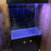 آکواریوم شرکتی شیشه خم ماهیران با کمد