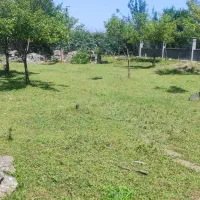 زمین-عباس-اباد