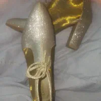 کفش مجلسی