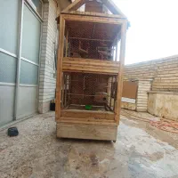 قفس پرنده