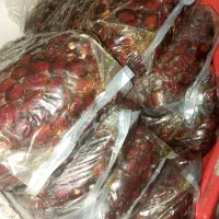 خرما مرداسنگ آفتاب دیده