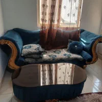 راحتی همراه با ۲ عسلی + جا کفشی (فروش فوری)