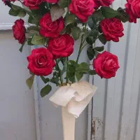 گل زیبا با گلدان