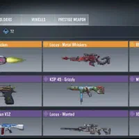 .  انواع اکانت های صیف کالاف