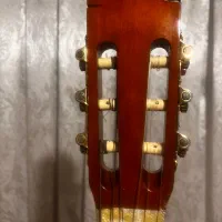 سالم،نو،زیبا