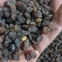 کشمش|خوردنی و آشامیدنی|یزد, |دیوار