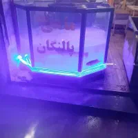 اکواریوم ماهی قزل آلا|فروشگاه و مغازه|سریش آباد, |دیوار