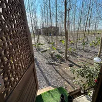 سرمایه ای کم/خریدی بزرگ/صد در صد سوددهی|فروش خانه و ویلا|گرمدره, |دیوار