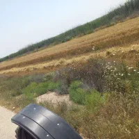 کلش(سفال) بسته بندی شده