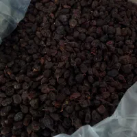 کشمش تاکستان