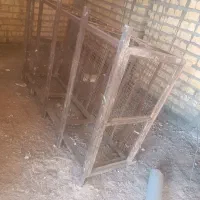 یک عدد روشنای روی بام به ارضه180وعرتفا90|مصالح و تجهیزات ساختمان|شیراز, شیخ علی چوپان|دیوار