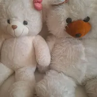دوتا عروسک خرس ی متری