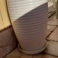 وسایل نو|کلکسیون و سرگرمی|مشهد, آزادشهر|دیوار