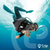 غواصی vip در کیش همراه عکس و فیلم اختصاصی