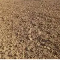 زمین کشاورزی فروشی( توافقی)
