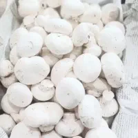 قارچ تازه وتمیز